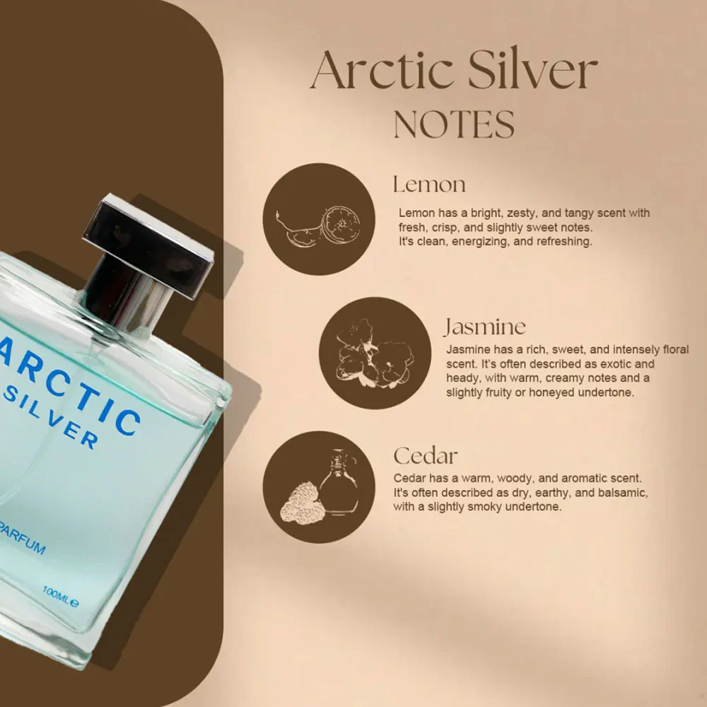 Lovali Arctic For Men Silver Eau De Parfum 100ml - Image 2